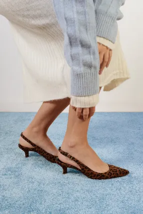 KITTEN LEOPARD - Pointed toe slingback pumps